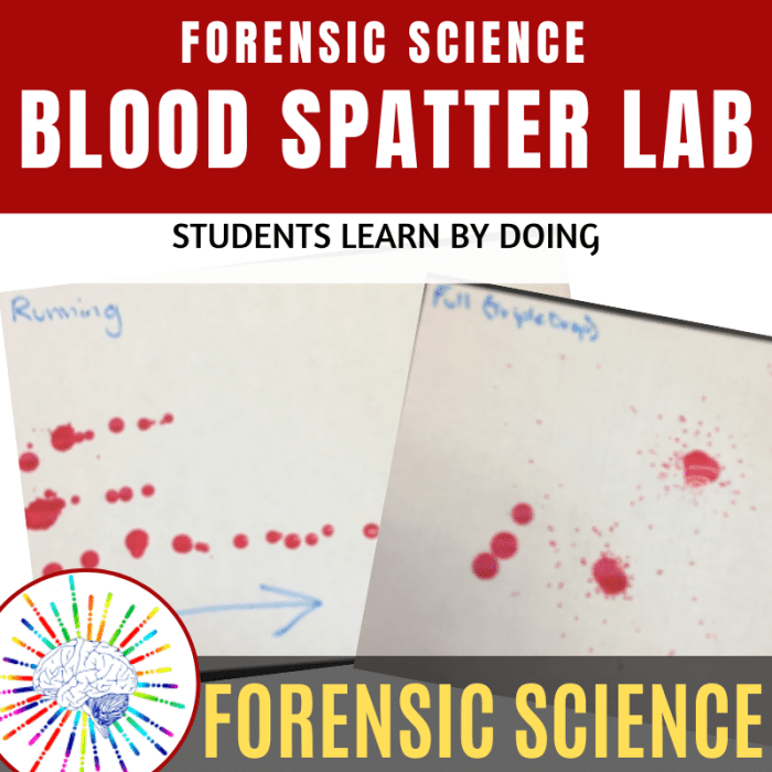 Blood spatter lab answer key