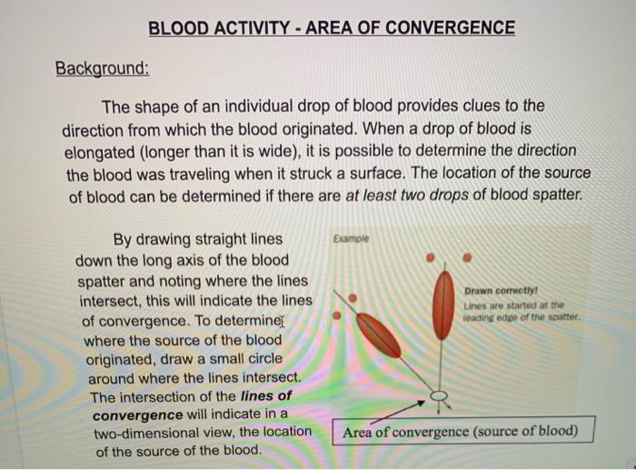 Blood spatter lab answer key