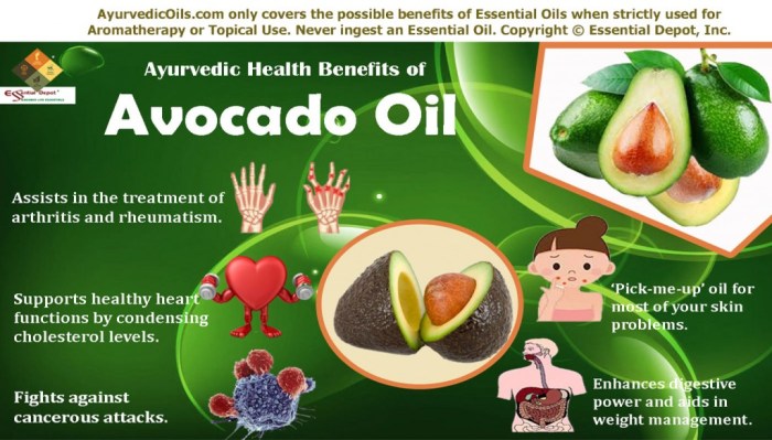 The extracts of avocado and soybean oils