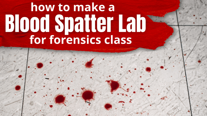 Blood spatter lab answer key