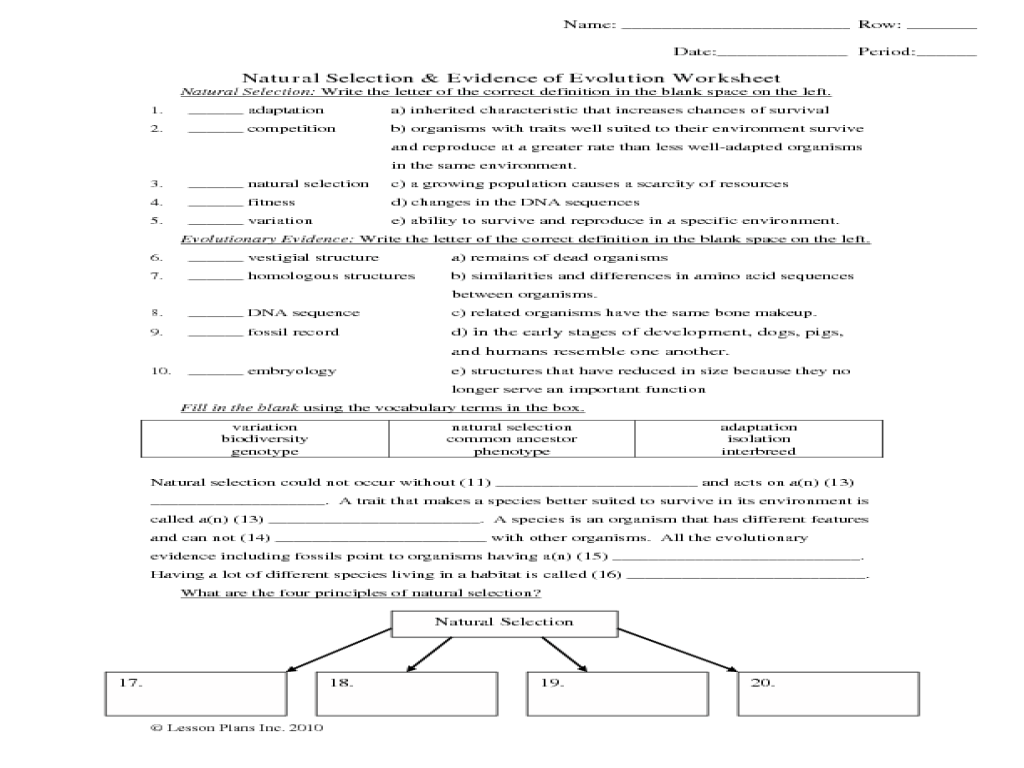 Evolution and natural selection worksheet