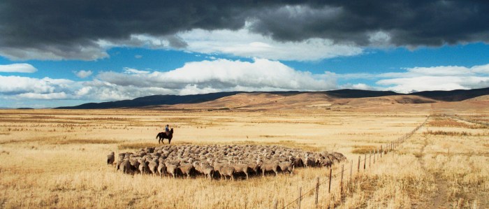 Huge ranches that covered thousands of acres were called