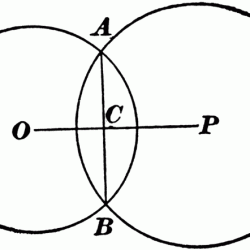 Great circles intersecting at right angles at the poles