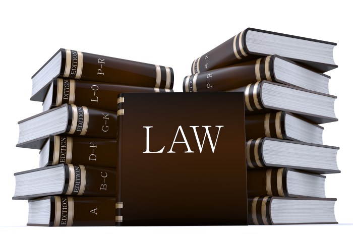 Statute laws wrongful termination statutory